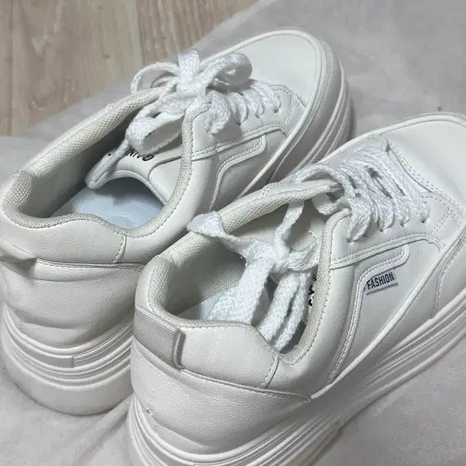 [BUNJANG] 8cm Platform Sneakers / 스탠딩화 통굽 운동화 8cm