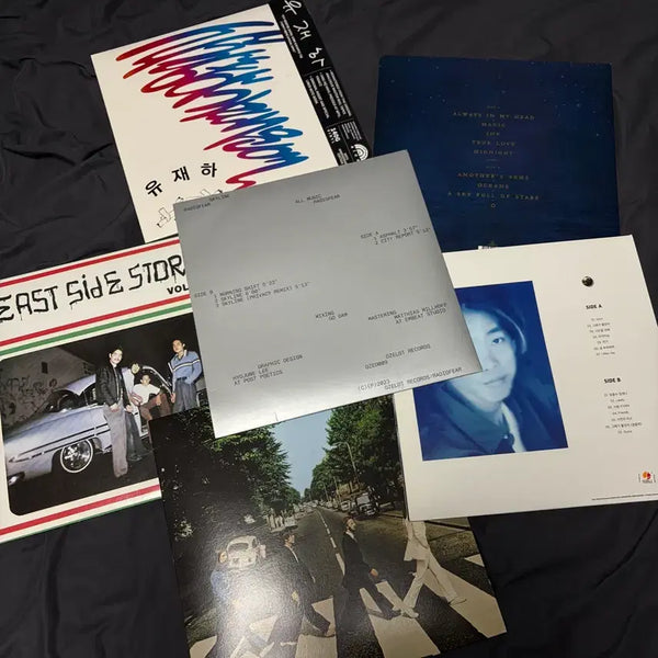 [BUNJANG] Various Artists Vinyl Records Collection (Yoo Jae-ha, Seo Ji-won, Coldplay, The Beatles, East Side Story) / 유재하,서지원 등 LP음반