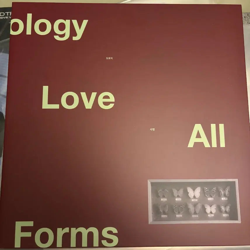 [BUNJANG] 12BH Limited Edition LP / 12BH LP