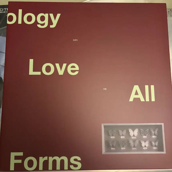 [BUNJANG] 12BH Limited Edition LP / 12BH LP