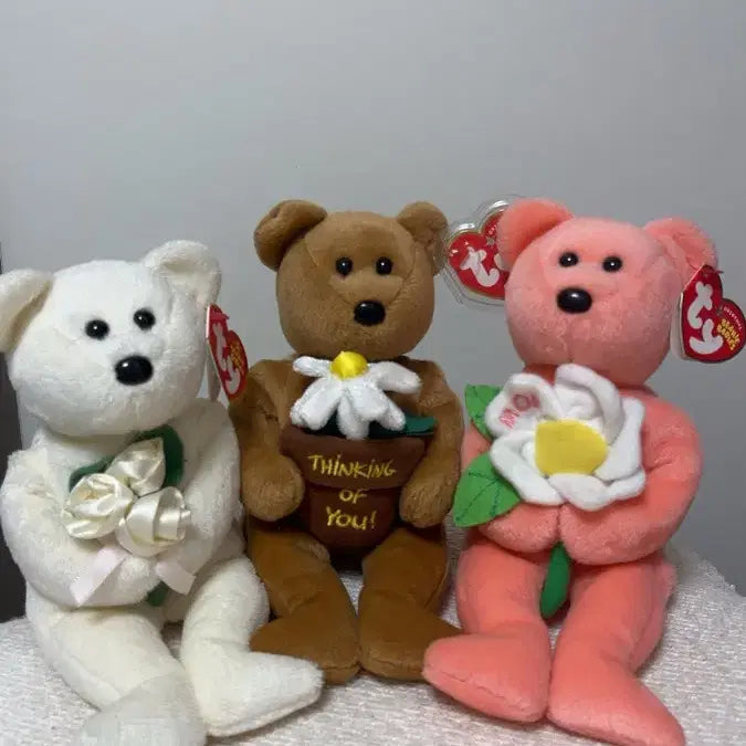[BUNJANG] TY Bear TY Banner 3종 Set / ty베어 티와이베너 3종 세트
