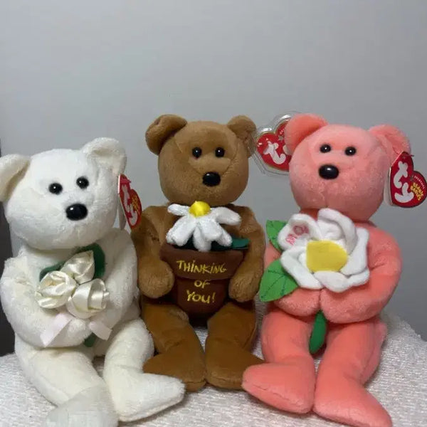 [BUNJANG] TY Bear TY Banner 3종 Set / ty베어 티와이베너 3종 세트