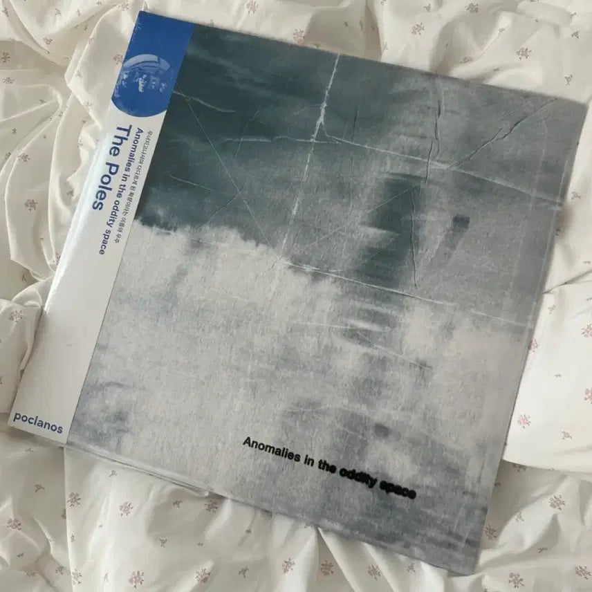 [BUNJANG] The Poles Anomalies in the Oddity Space Sealed LP / 더폴스 Anomalies in the oddity space 미개봉 lp