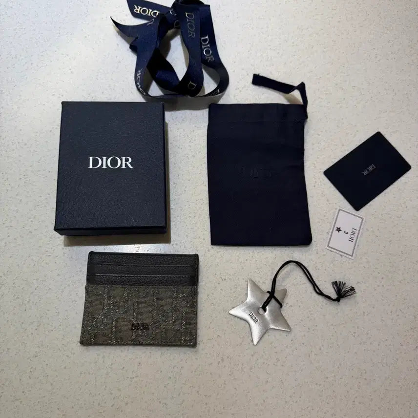[BUNJANG] Dior Ruthenium Card Holder / 디올 루테늄 카드지갑