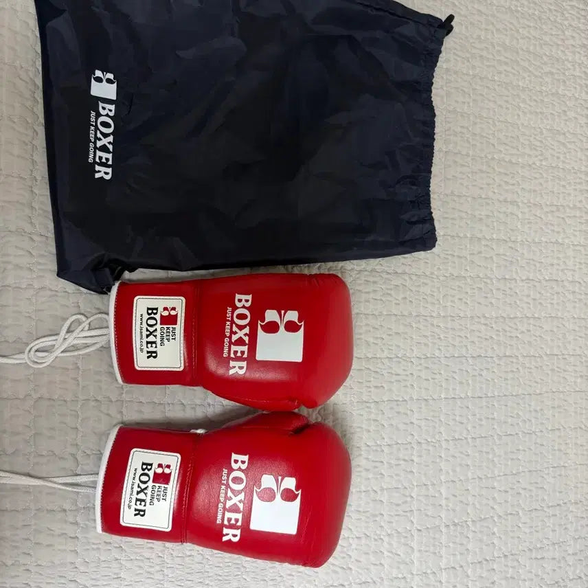 [BUNJANG] Isami Boxing Gloves 10oz / 이사미 글러브 10온스 판매합니다