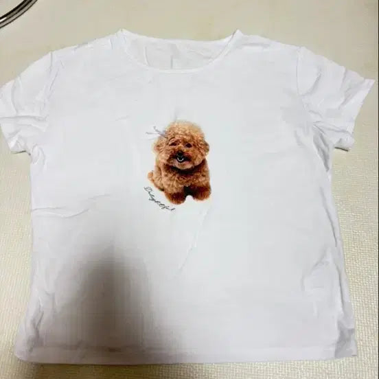 [BUNJANG] 8Seconds Poodle Print Short Sleeve T-Shirt White M / 에잇세컨즈 푸들 강아지 프린트 반팔 티셔츠 화이트 m