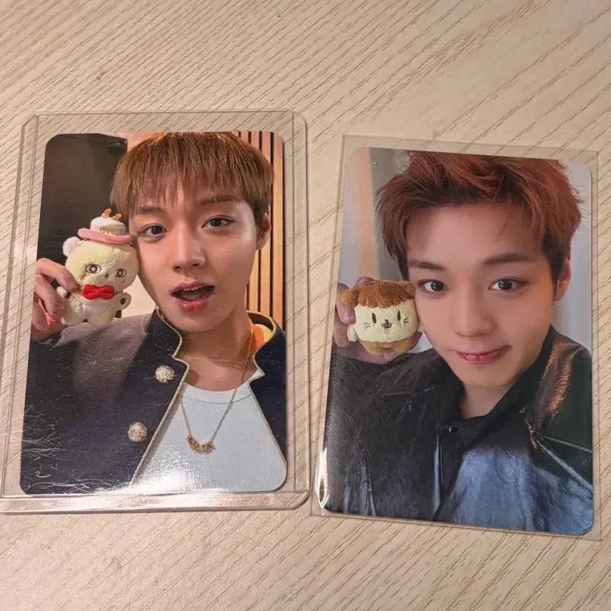 [BUNJANG] Park Jihoon 'So Simi' Photocard Bundle Set / 박지훈 소심이 5만원 특전 뿌움이 포카 일괄