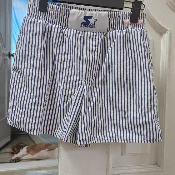 [BUNJANG] Zara Starter Stripe Shorts / 자라 스타터 스트라이프 반바지