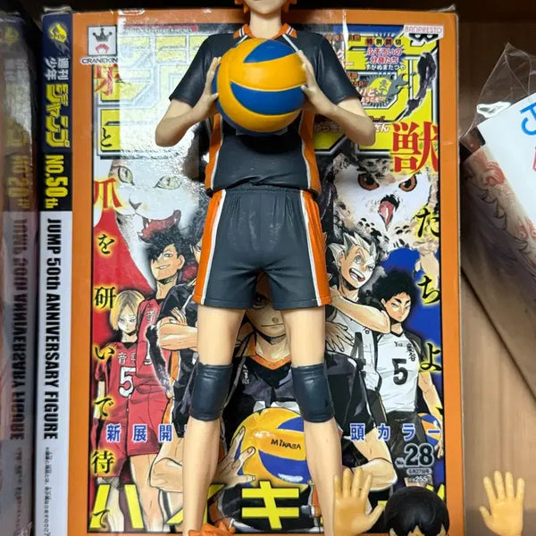 [BUNJANG] Haikyuu!! Shoyo Hinata Jump 50th Anniversary Figure + Bonus / 택포@ 더이상가격내림x 하이큐 히나타 쇼요 피규어 점프 50주년 + 덤
