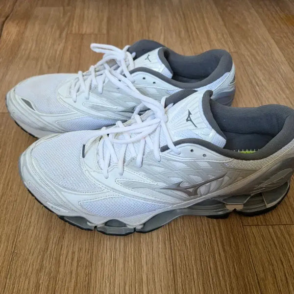 [BUNJANG] Mizuno Wave Prophecy LS Running Shoes / 미즈노 웨이브 프로페시 운동화