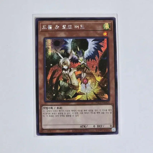[BUNJANG] Yu-Gi-Oh! Droll & Lock Bird (PAC1-KR026) Secret Rare Korean Edition / 유희왕 드롤 & 로크 버드 (PAC1-KR026) 시크릿 레어 한글판