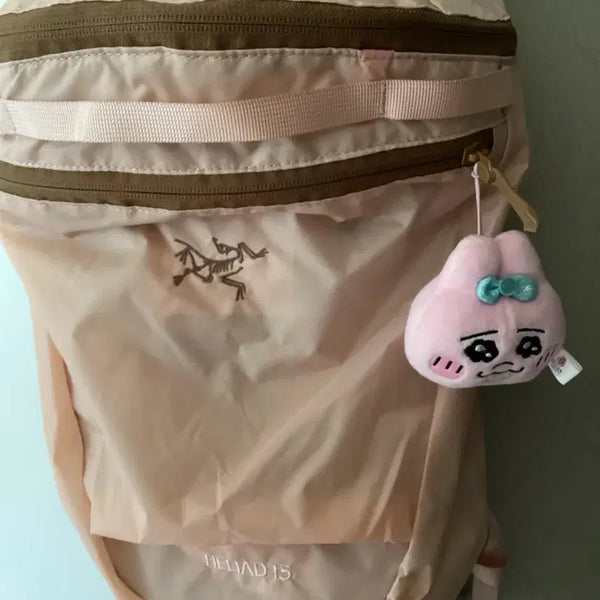 [BUNJANG] Arc'teryx Heliad 15 Backpack Hazelnut Pink / 아크테릭스 헬리아드 15 헤이즐넛 핑크 백팩 발레코어 뉴진스