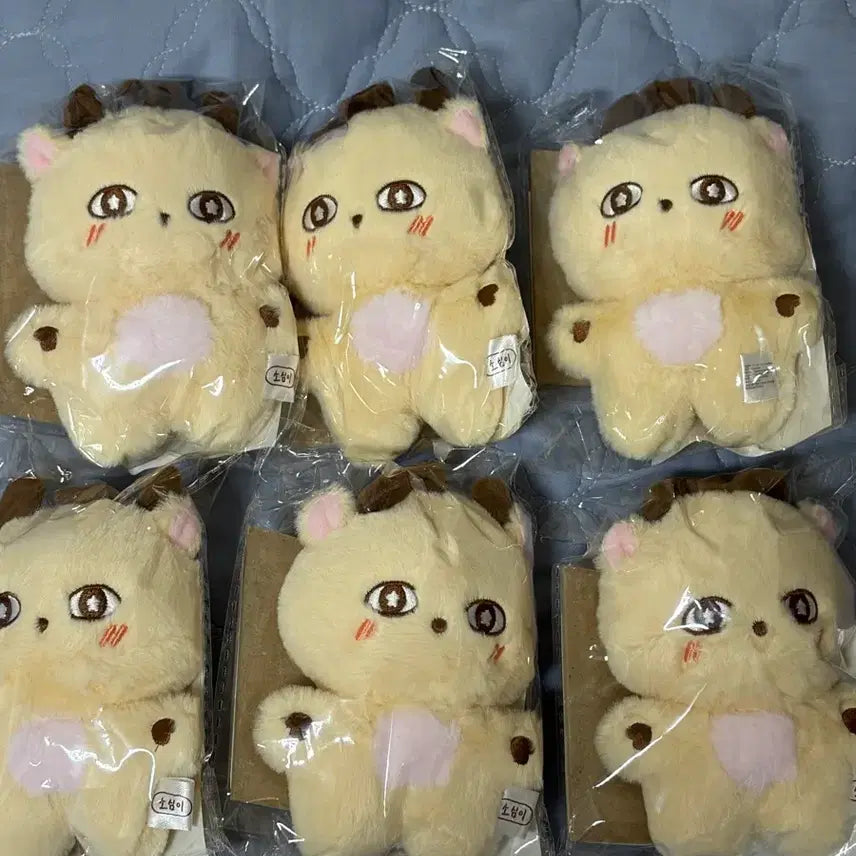 [BUNJANG] Park Jihoon 'Sosimi' Plush Doll / 박지훈 인형 소심이