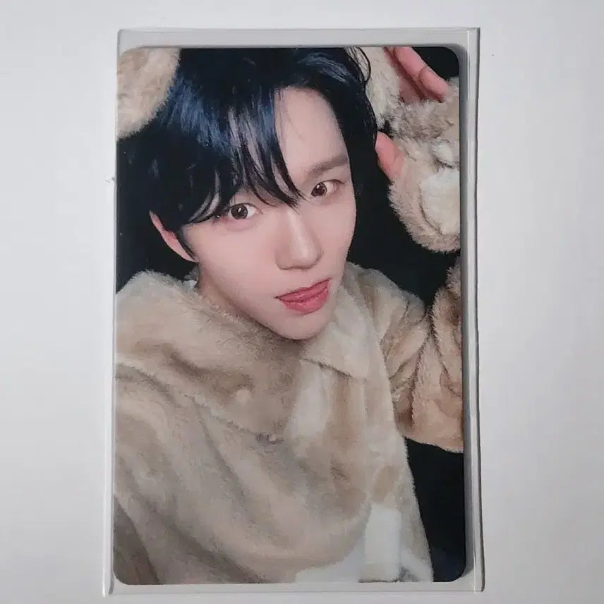 [BUNJANG] NCT WISH Melon Musicwave Animal Photocard Jaehee Daeyoung Bundle Set / 엔시티위시 멜론 뮤직웨이브 동물포카 퍼리포카 재희 대영
