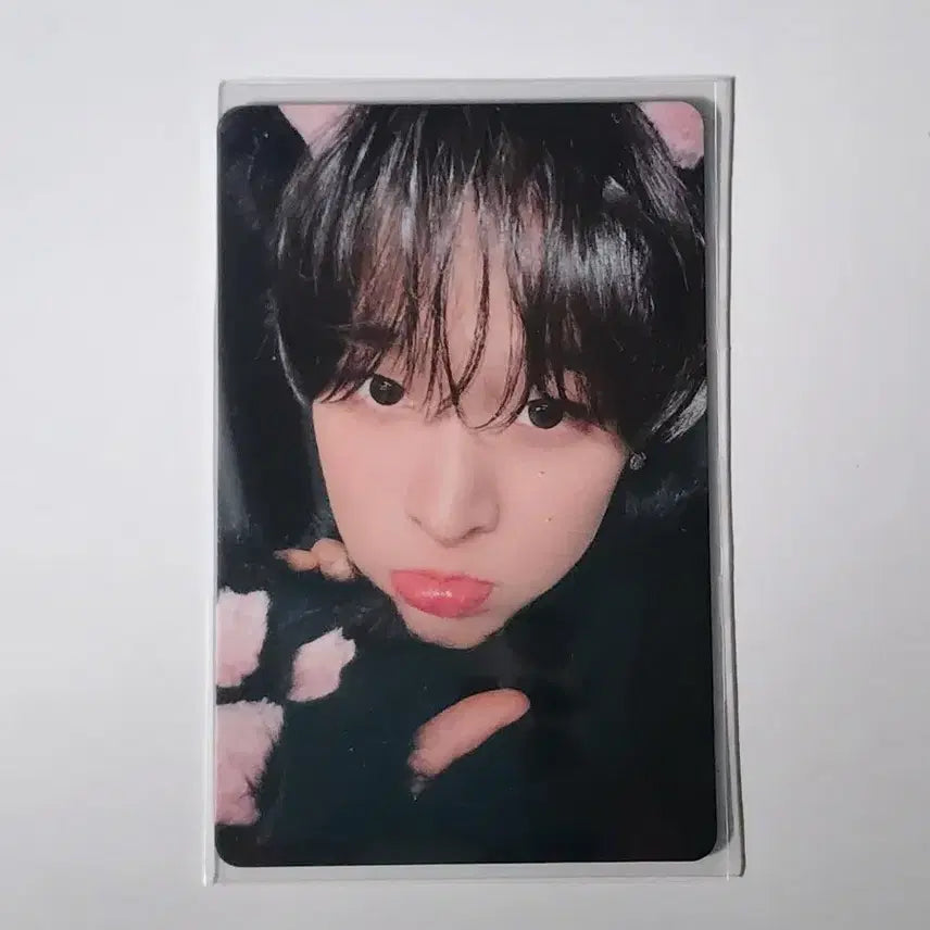 [BUNJANG] NCT WISH Melon Music Wave Ri-ku Furry Photocard Bundle Set / 엔시티위시 멜론 뮤직웨이브 동물포카 퍼리포카 리쿠