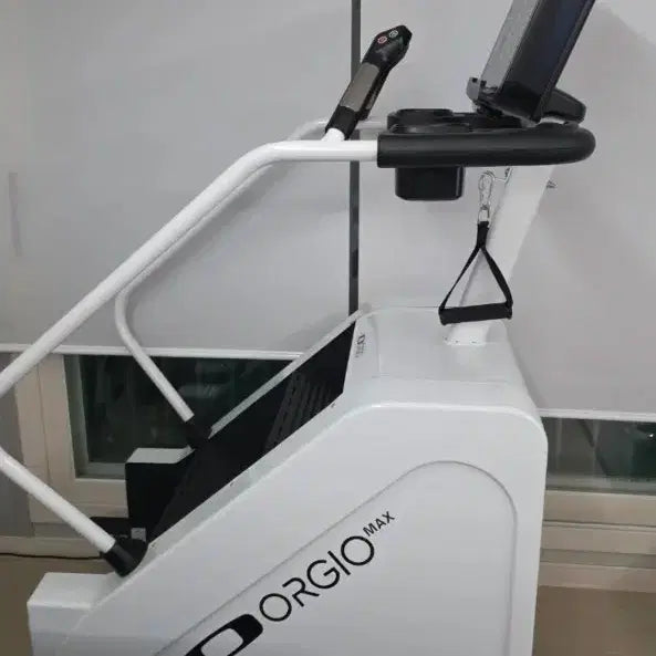 [BUNJANG] ORIGO MAX Stairway to Heaven Home Gym Equipment / 천국의계단
