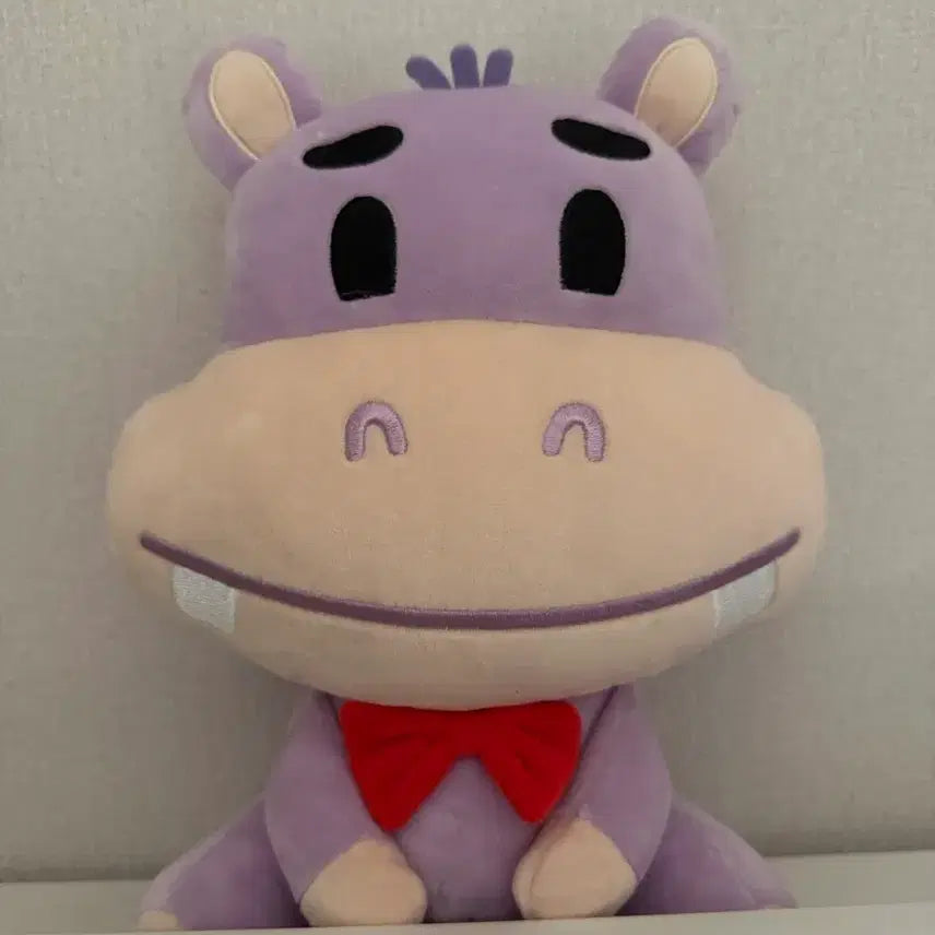 [BUNJANG] NFlying Yoo Hweseung Large Hamangi Plush / (가격 안 내림) 엔플라잉 유회승 대왕 파티 하망이 개봉