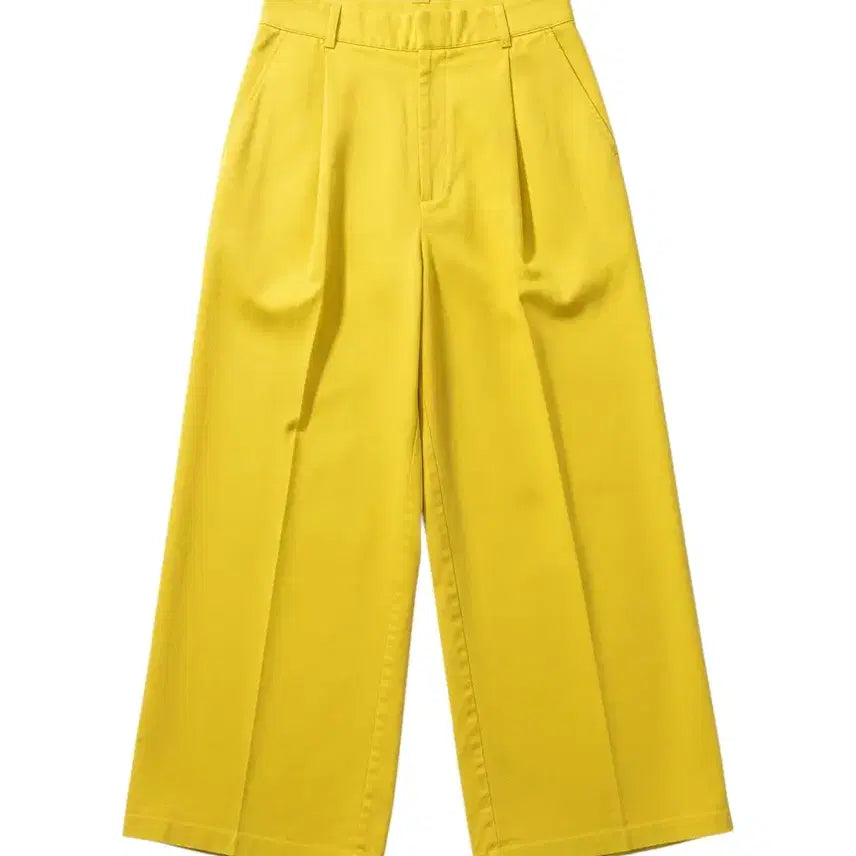 [BUNJANG] Double Standard Wide-Leg Pin Tuck Pants - Thin Material (Women's 38) / 여성38/ 더블스탠다드 얇은소재 핀턱 와이드팬츠 고급보세