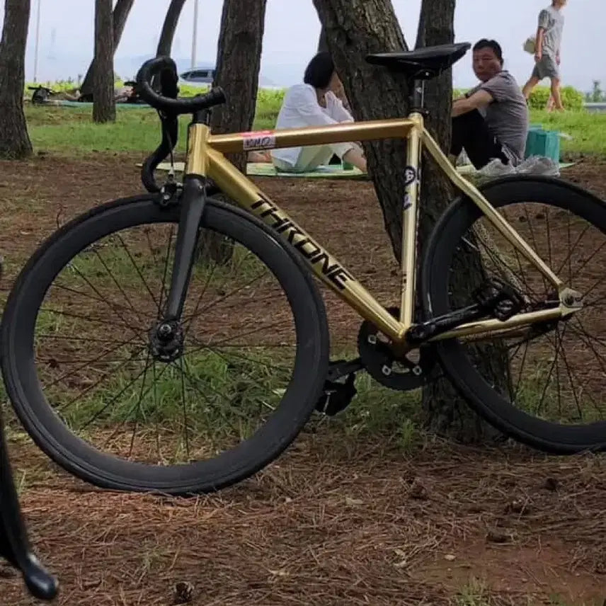 [BUNJANG] THRONE Pixie Fixed Gear Bicycle - Gold / 쓰론 픽시 자전거 골드