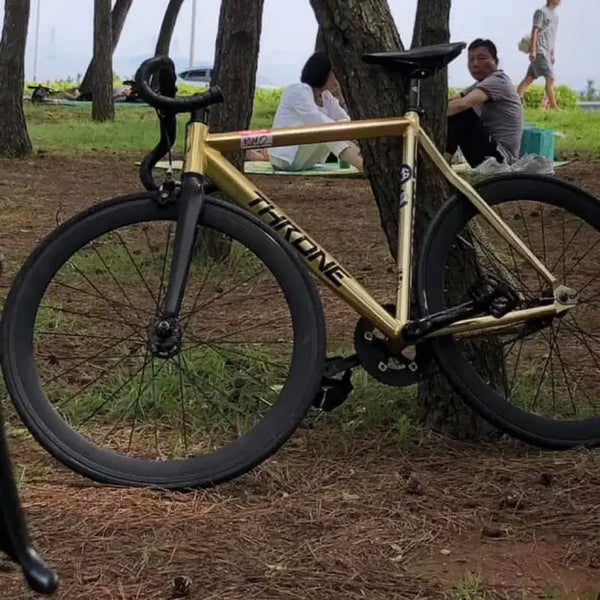 [BUNJANG] THRONE Pixie Fixed Gear Bicycle - Gold / 쓰론 픽시 자전거 골드