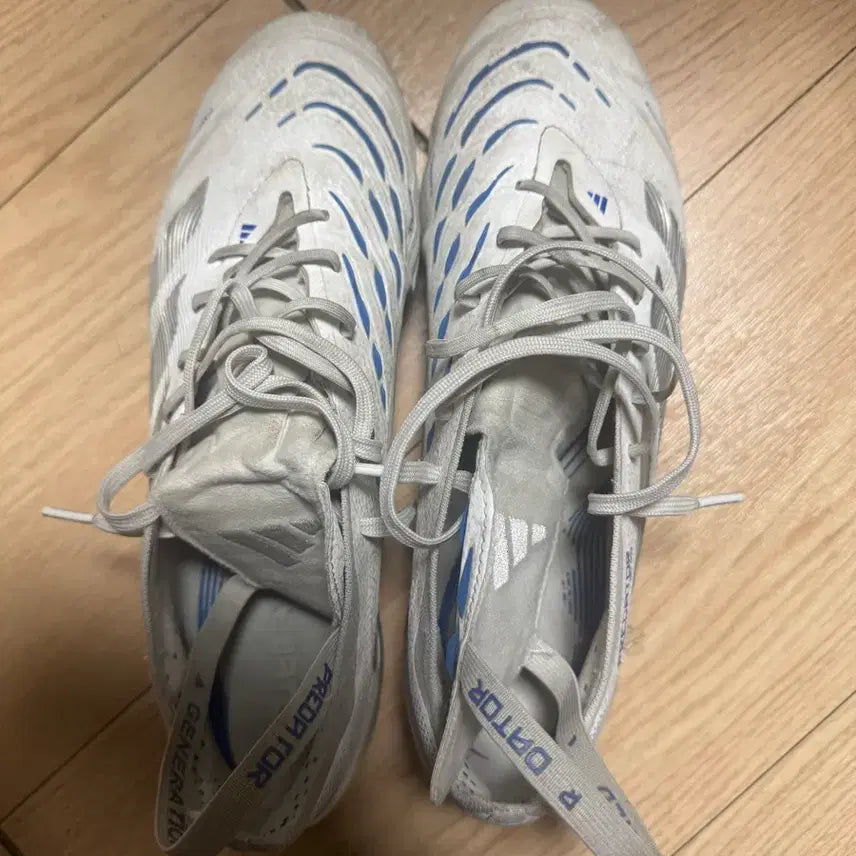 [BUNJANG] Adidas Predator Elite FG Football Boots / 아디다스 프레데터  FG 엘리트