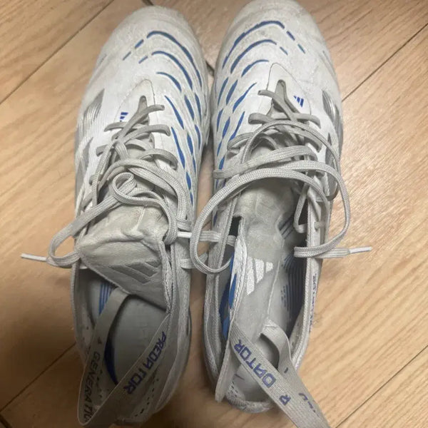 [BUNJANG] Adidas Predator Elite FG Football Boots / 아디다스 프레데터  FG 엘리트