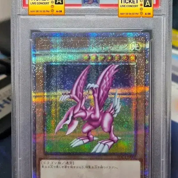 [BUNJANG] Yu-Gi-Oh! Japanese Holy Night Dragon Quarter Century Secret Rare PSA 10 / 유희왕 일판 홀리나이트드래곤 쿼식 PSA10