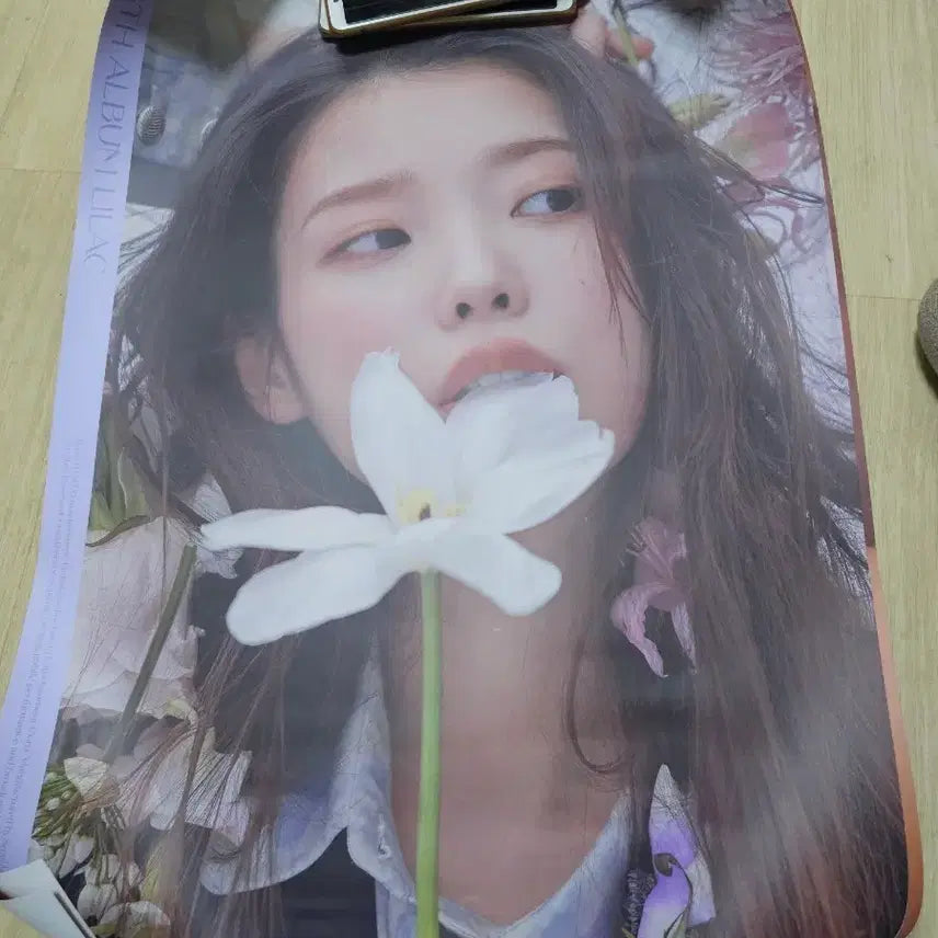 [BUNJANG] IU 'LILAC' Bromide Poster / 아이유 라일락 브로마이드 포스터