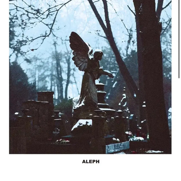 [BUNJANG] Aleph Philosophy Renaissance + Requiem LP Set (First Press, Sealed) / 초판,미개봉새상품) 알레프 필로소피, 르네상스+레퀴엠 LP세트