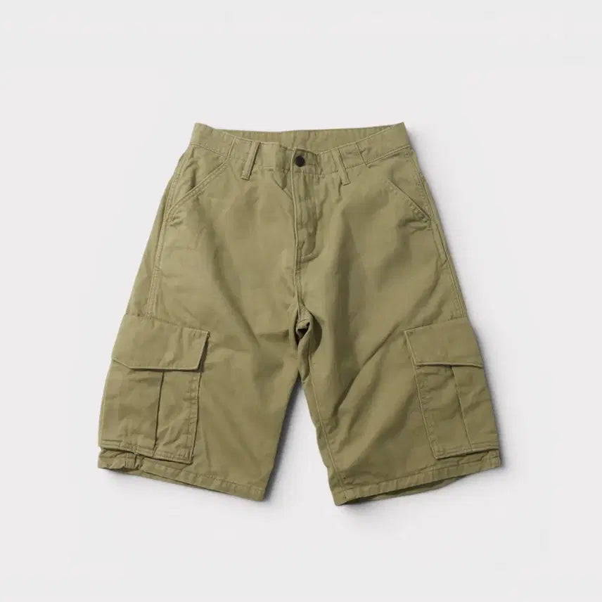 [BUNJANG] Levi's 30-inch Cargo Shorts / [30인치] 리바이스 카고 반바지