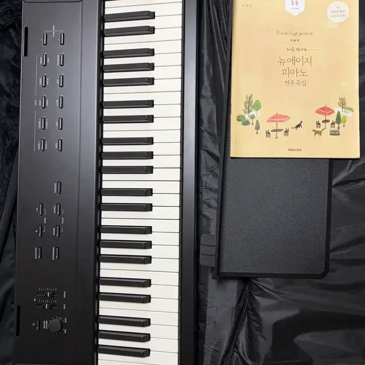 [BUNJANG] Young Chang Kurzweil KAE1 88-Key Full Package / 영창 커즈와일 KAE1 88건반 풀패키지