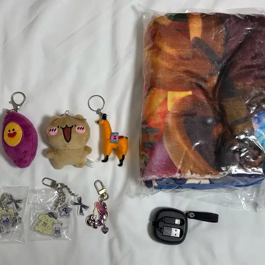 [BUNJANG] Bundle Set: Wadadagom, Pompompurin, and More Keychains (6 pcs) with Blanket & USB Cable / [일괄/덤] 와다다곰 폼폼푸린 등 키링 6개 담요 USB케이블 덤
