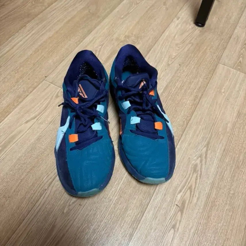 [BUNJANG] Nike Zoom Freak Basketball Shoes / 나이키 줌프릭 농구화
