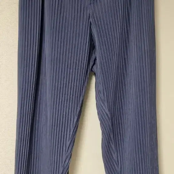 [BUNJANG] Homme Plissé Issey Miyake Pleats Pants Size 2 / 옴므플리세 플리츠 2사이즈 판매합니다.