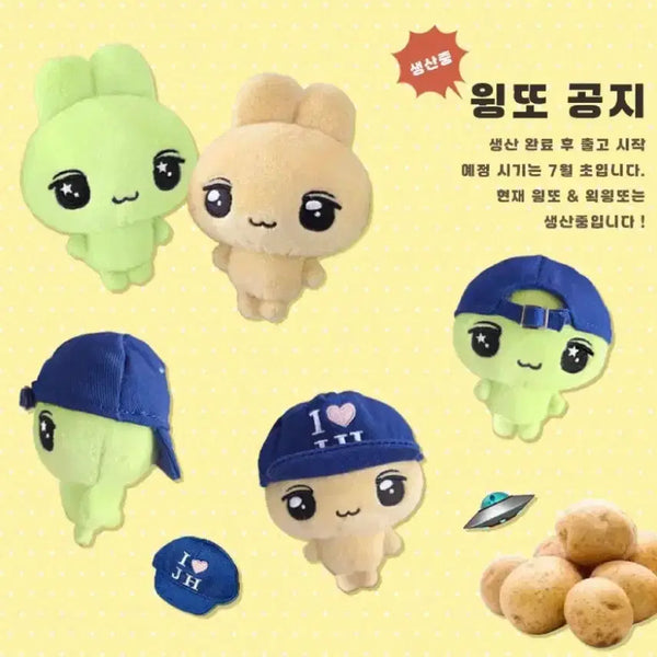 [BUNJANG] Park Ji Hoon Wingtto Doll / 박지훈 인형 윙또