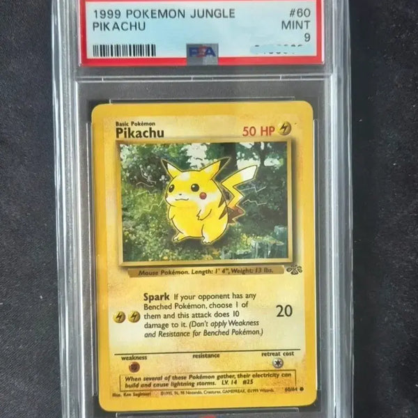[BUNJANG] 1999 Pokemon Card North American First Edition Pikachu Junglechu / 1999 포켓몬카드 북미판 초판 피카츄 정글츄