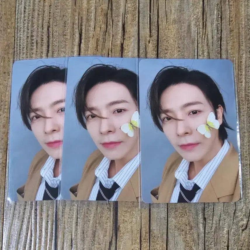[BUNJANG] Super Junior Donghae Concert MD Trading Card / 슈퍼주니어 동해 콘서트md 트레카 판매 양도합니다