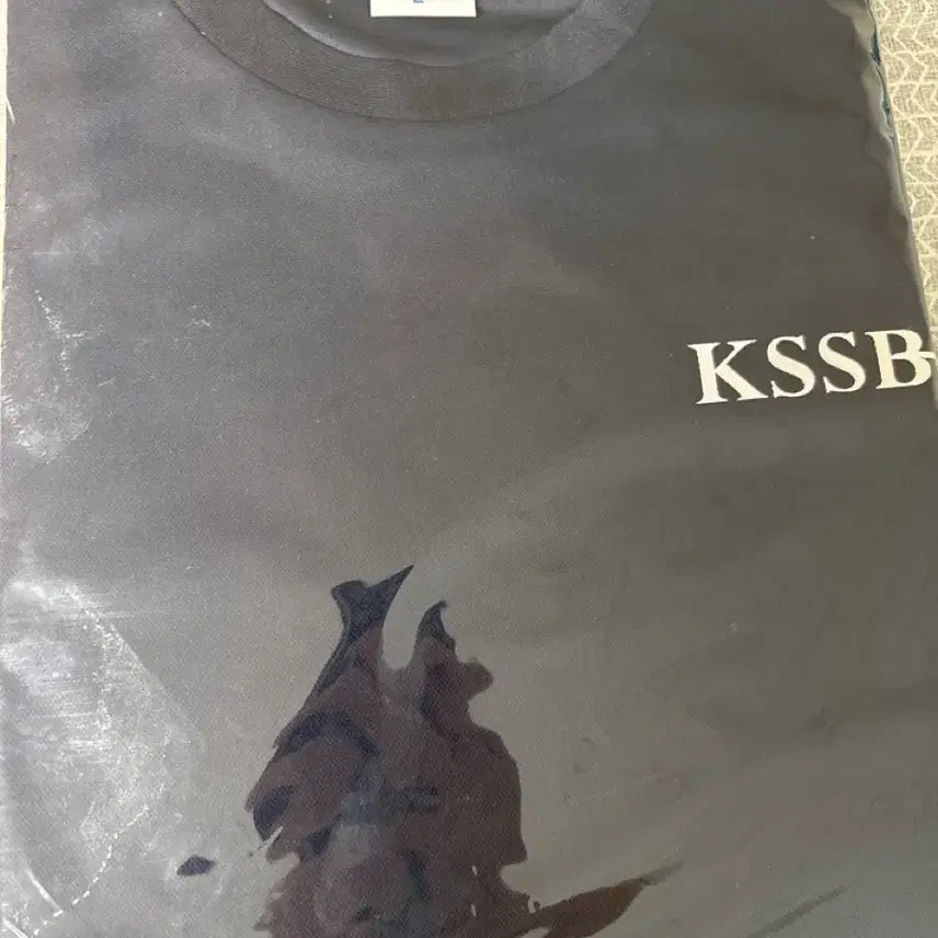 [BUNJANG] KSSBF Navy T-Shirt Large / kssbf 네이비 반팔티셔츠 라지