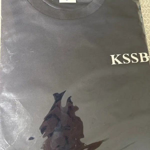 [BUNJANG] KSSBF Navy T-Shirt Large / kssbf 네이비 반팔티셔츠 라지