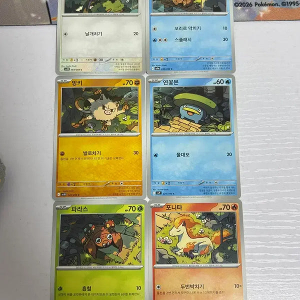 [BUNJANG] Pokemon Card Illustration Set 2 / [귀여운 포켓몬카드] 이어지는 일러스트 세트2