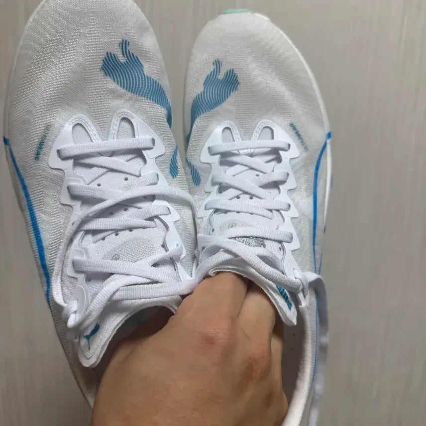 [BUNJANG] Puma Deviate NITRO Elite 3 Running Shoes (275mm) / 푸마 디비에이트 나이트로 엘리트3 275 디나엘3