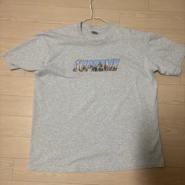 [BUNJANG] Supreme Gotham T-Shirt Gray XL / 슈프림 고담 티셔츠 회색 xl