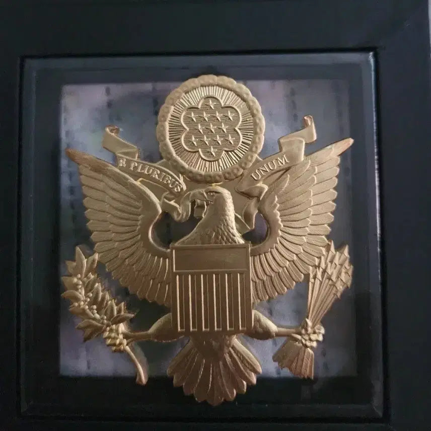 [BUNJANG] 2025 Samoa 2oz 250th Anniversary of American Independence 24k Gold-Plated Silver Coin / 2025 사모아 2온스 미국 독립 250주년 기념 24k 금도금 은화