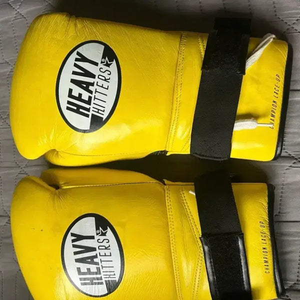 [BUNJANG] Heavy Hitter Boxing Gloves 14oz / 헤비히터 복싱 글러브 14온스