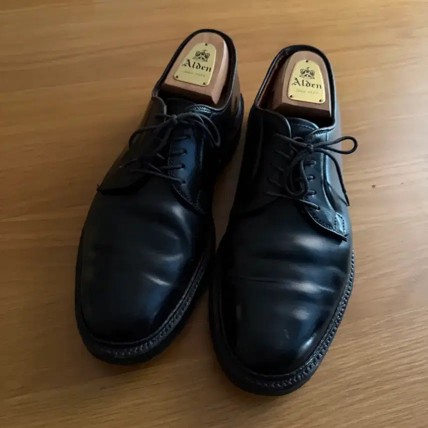 [BUNJANG] Alden 9901/9D Steel Toe Cap Cap-toe Oxfords / 알든 9901 / 9D