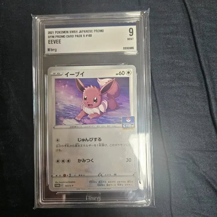 [BUNJANG] Pokemon Card Eevee JPN PSA 9 / 포켓몬카드 일판 이브이 brg9