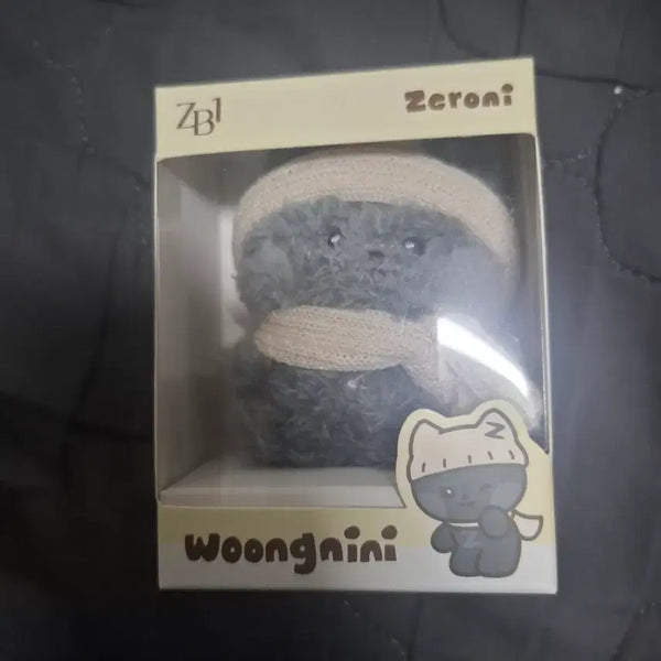[BUNJANG] ZEROBASEONE Kim Ji Woong "Woongnini" Winter Version Doll / 제베원 제로베이스원 김지웅 웅니니 윈터버전 양도합니다