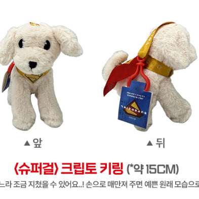 [BUNJANG] Supergirl Movie Crypto Keyring Goods Package / 영화 슈퍼걸 크립토 키링 굿즈패키지 대리수령