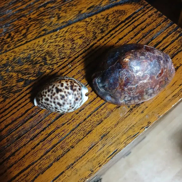 [BUNJANG] Antique Clam Norigae Pair / 오래된배각노리개대소두점