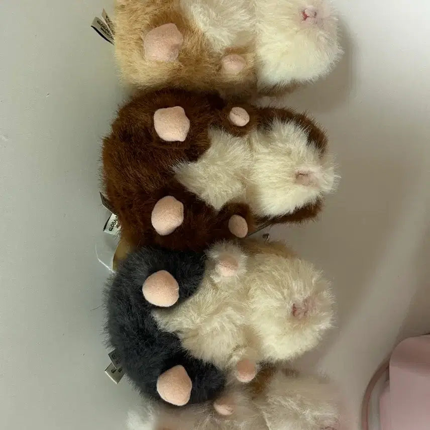 [BUNJANG] Morumo Tto Sang 12cm Bundle Set / 모루못토상 12cm 일괄 판매 (택 0)
